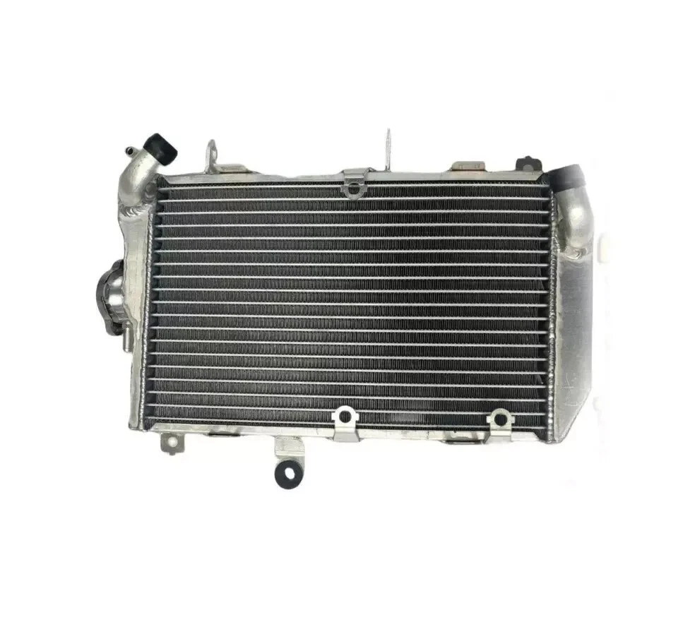 Aluminum Radiator For Suzuki Burgman 650 ABS Executive AN650/AN650Z 2013-2017 1 Aluminum Radiator For Suzuki Burgman 650 ABS Executive AN650/AN650Z 2013-2017